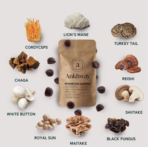 Ankhway powerful mushroom - ankhway,