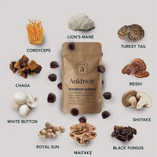 Ankhway Mushroom Gummies 60