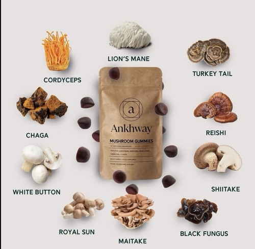 Ankhway 1 mushroom - ankhway,