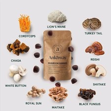 Ankhway 10-in-1 Mushroom